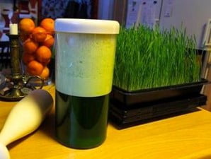 Jugo detox con pasto de trigo