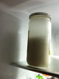 recette vegan de Yaourt d’amandes probiotique