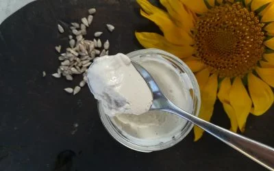 How to make vegan probiotic yogurt with homemade plant milks: coconut milk, sunflower seed, walnut, soya versions…