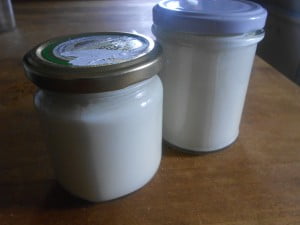 Yogures de soja caseros hechos utilizando como fermentador un yogur de soja industrial.