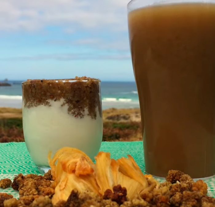 Jus de fruits séchés : mûres et ananas