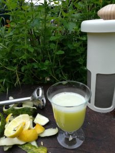 vegan recipe of cucumber lemon green juice