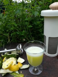 receta de jugo verde pepino limon con Vegan MIlker